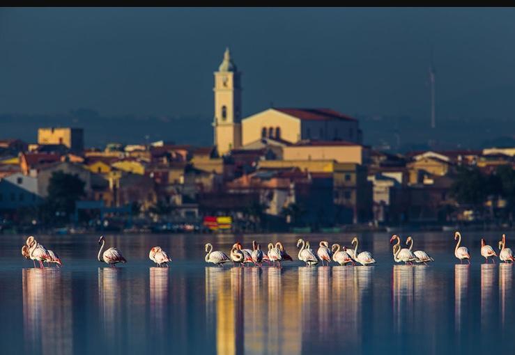 Casale Villa Giulia Marina Di Lesina Kültér fotó
