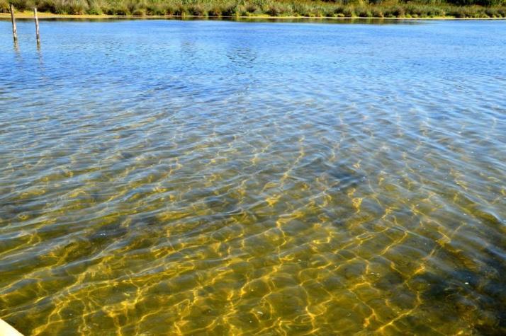 Casale Villa Giulia Marina Di Lesina Kültér fotó